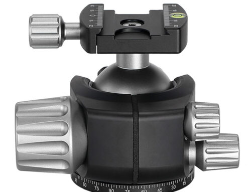 Rótula de bola profesional Leofoto LH-55