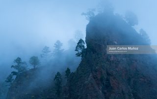 Entrevista a Juan Carlos Muñoz para Leofoto fotografo de naturaleza y paisajes