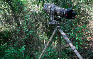 Trípode de carbono Leofoto LS-365CEX Full Camo de camuflaje completo